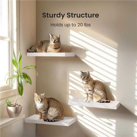 Floating Shelves, Wall Shelves for Bathroom/Living - Picture 5 of 7